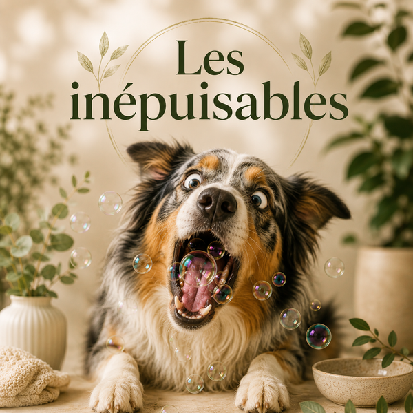Les Inépuisables