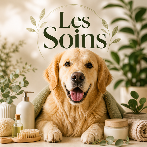 Les Soins