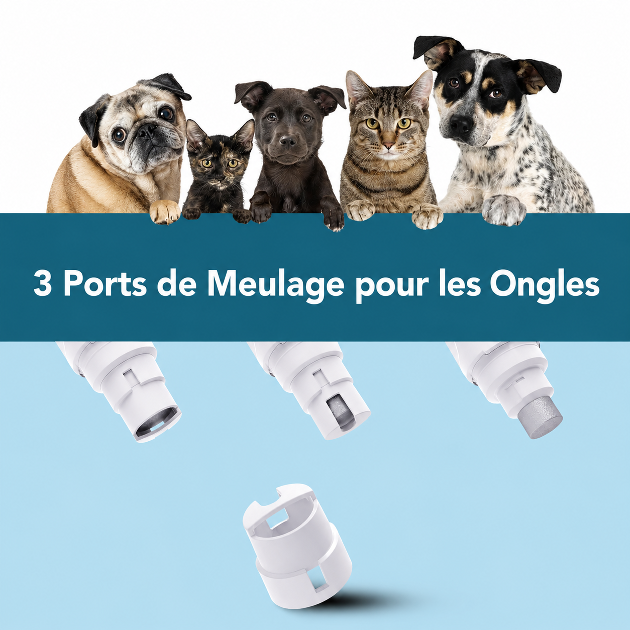 Lime à griffes électrique pour chien