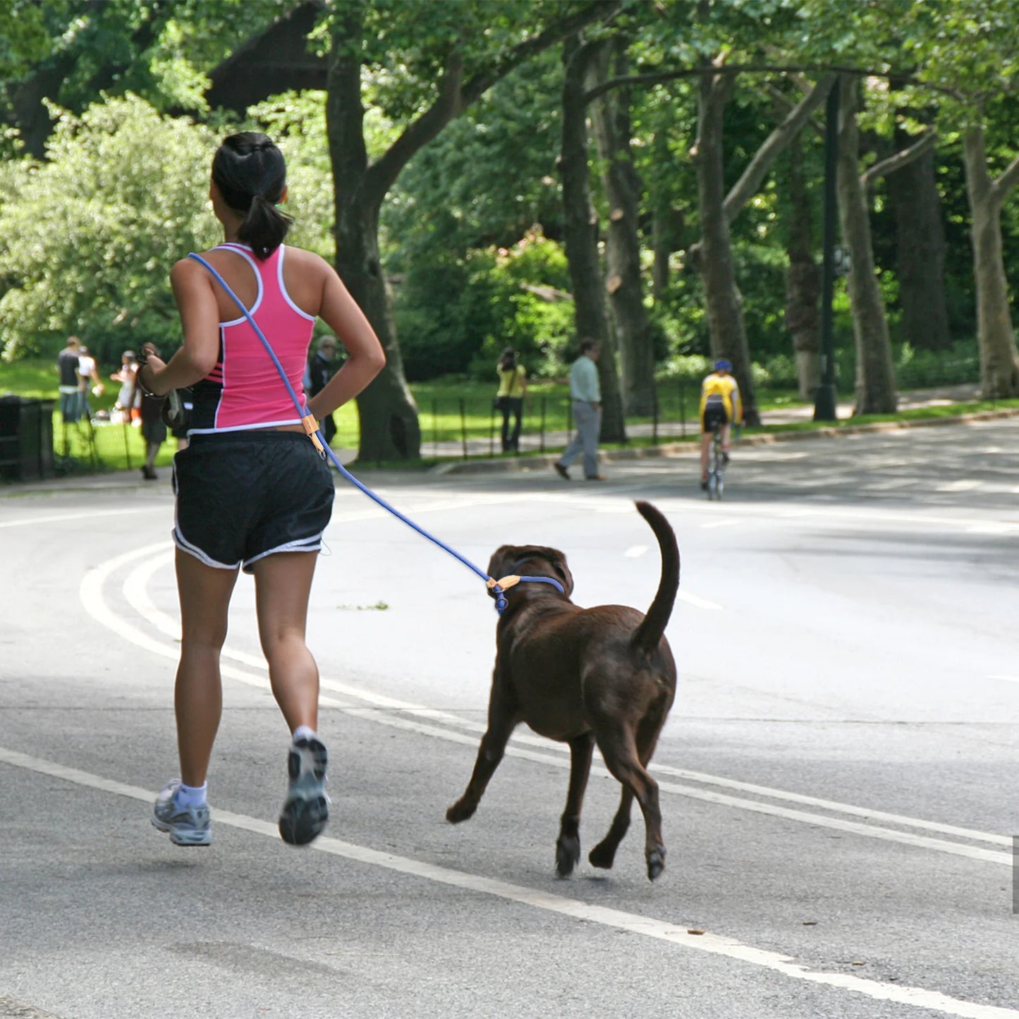 Laisse pour chien main libre anti traction