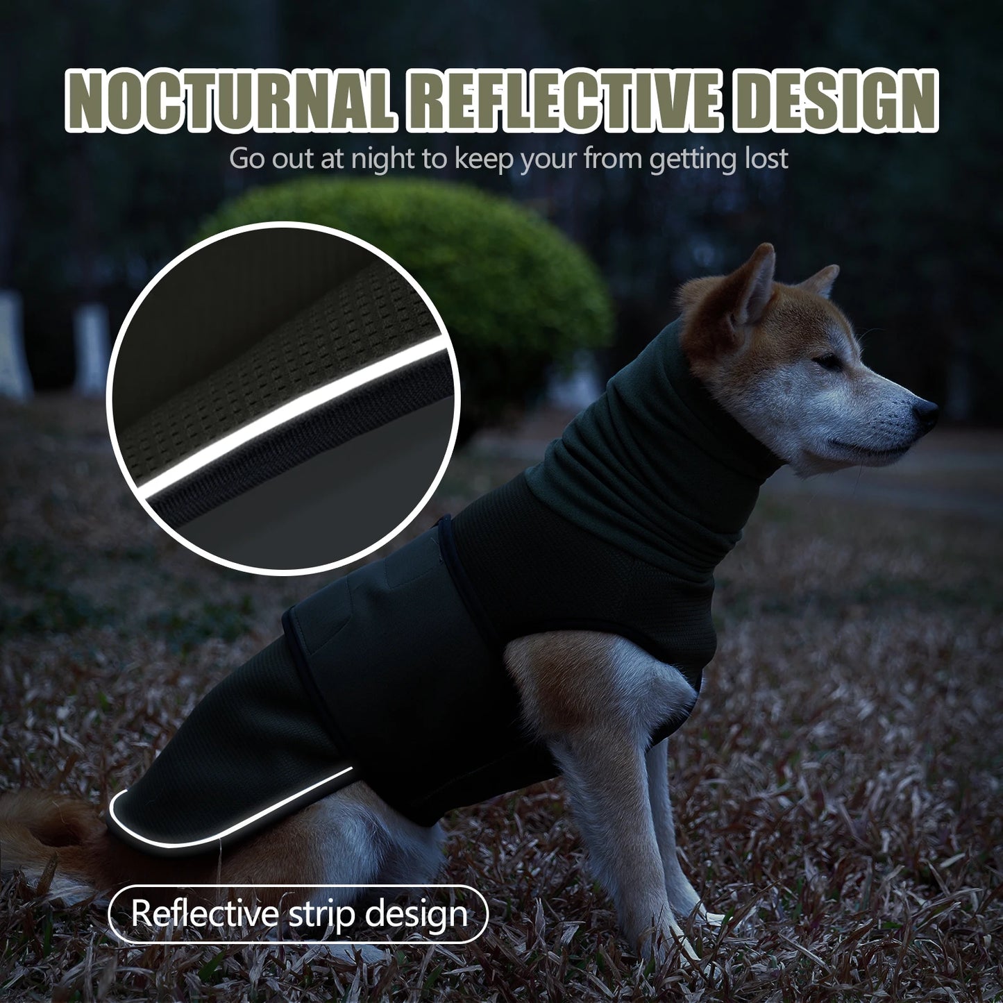 Veste anti anxiété pour chien