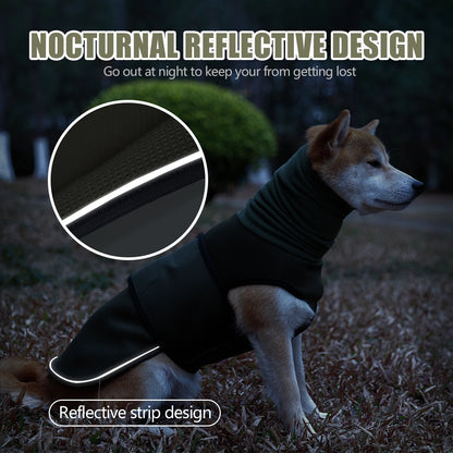 Veste anti anxiété pour chien