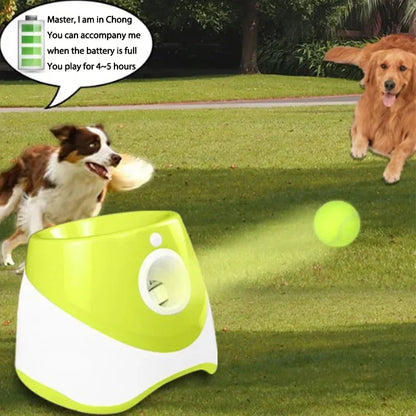 Lance-balle automatique pour chien
