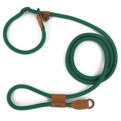 Laisse pour chien main libre anti traction