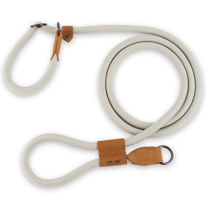 Laisse pour chien main libre anti traction