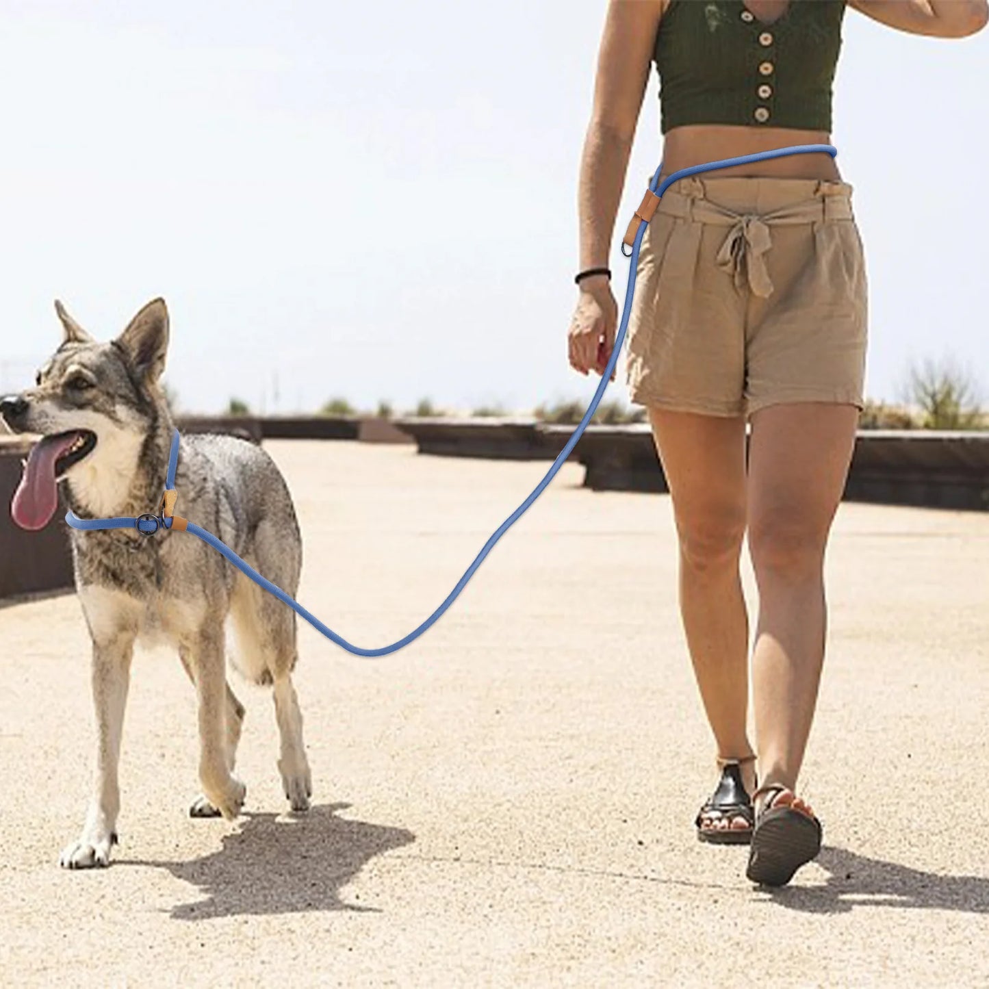 Laisse pour chien main libre anti traction