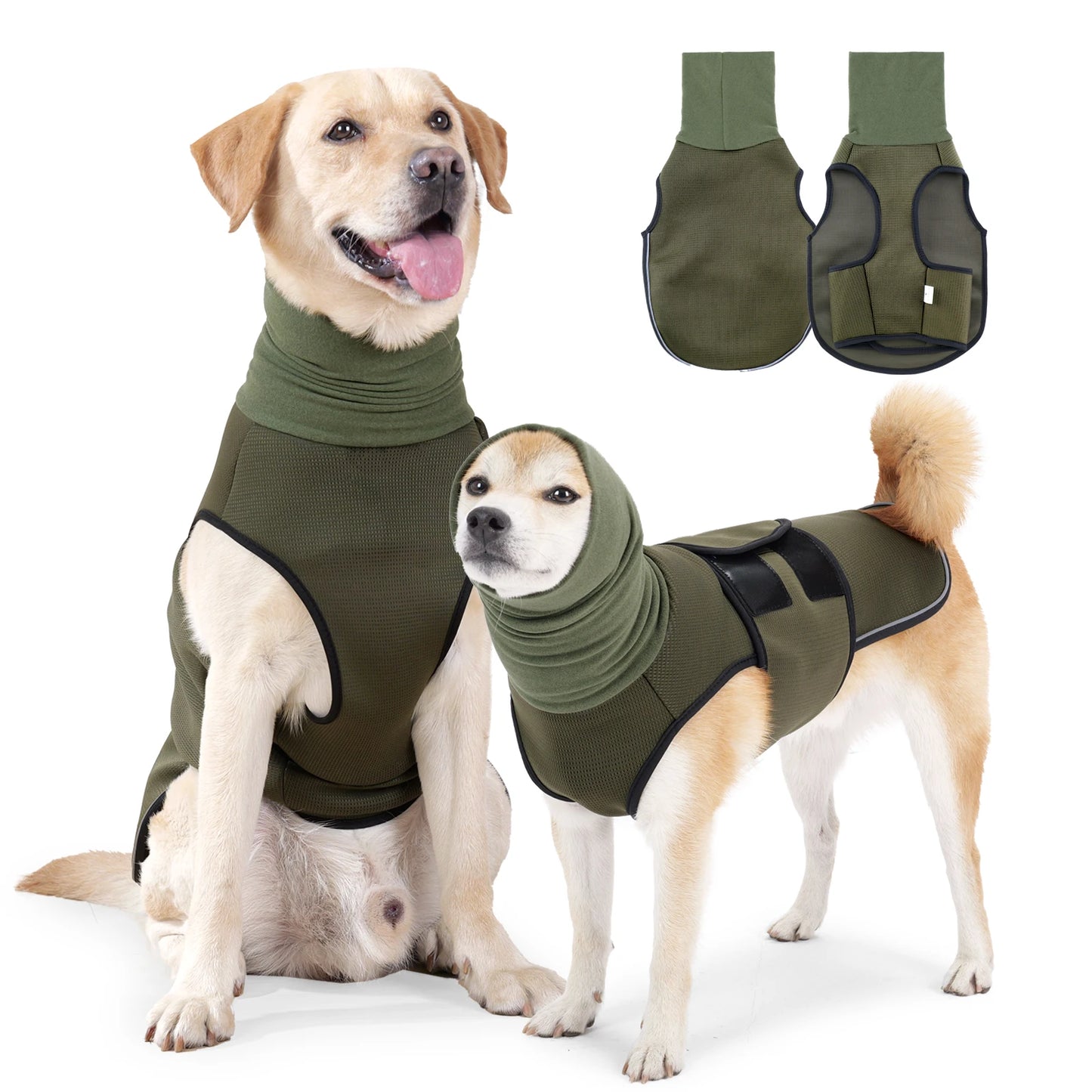Veste anti anxiété pour chien